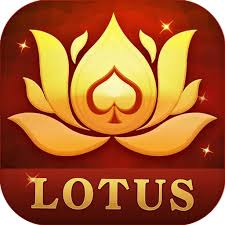 teen patti bolly download
